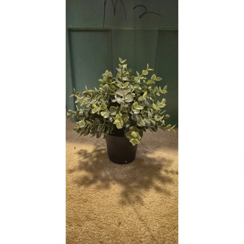 Artificial Potted Plants FEJKA IKEA + Mainstays Succulent +‎ White...
